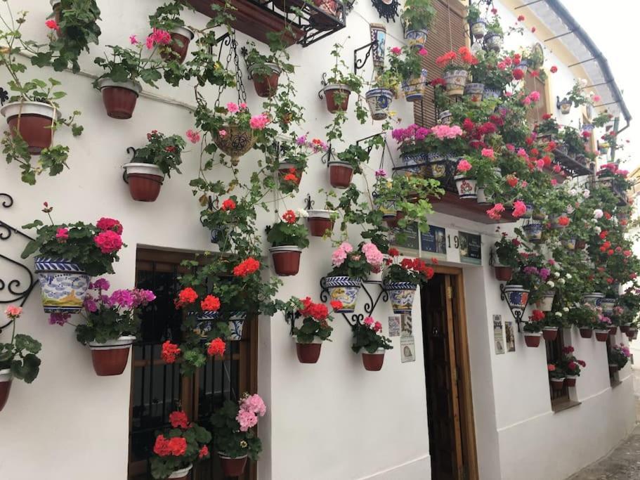 Apartamento El Rincon De La Verdad Cordova Esterno foto
